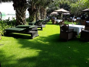 thảm cỏ nhân tạo lót sàn quận tân phú