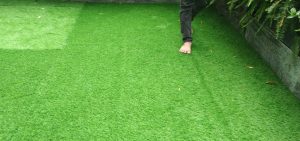 thảm cỏ 3cm chất lượng,