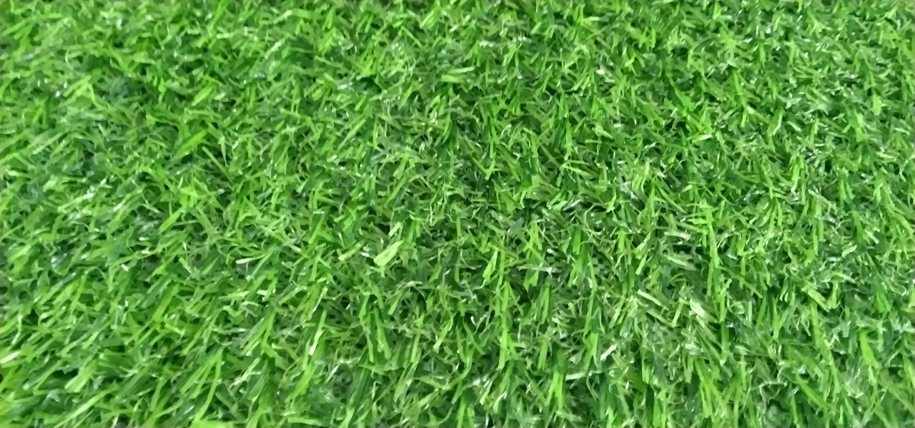 cỏ cao 2cm
