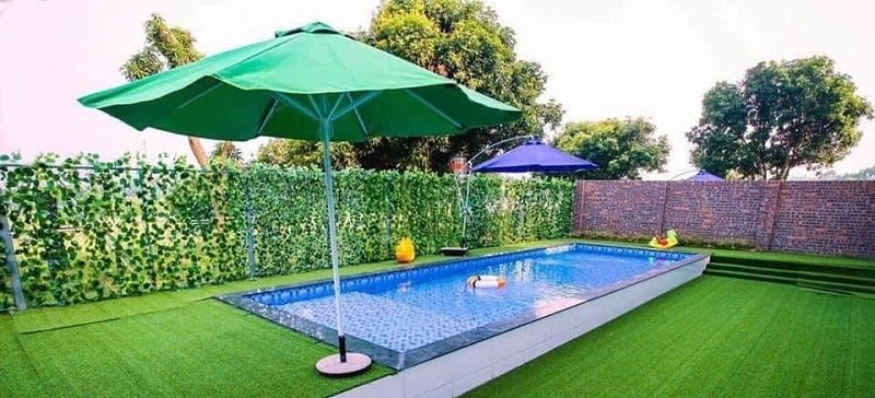 thảm cỏ hồ chí minh