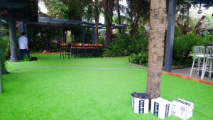 cỏ nhân tạo cho quán cafe