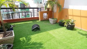 cỏ nhân tạo lót căn hộ chung cư