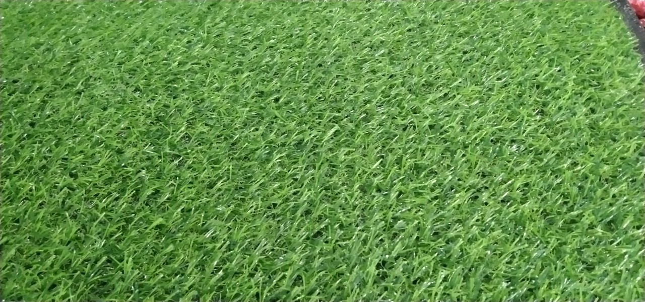 cỏ cao 2cm đế nhựa