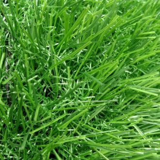 cỏ nhân tạo cao 3cm chất lượng