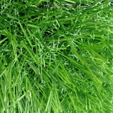 cỏ nhân tạo cao 3cm chất lượng