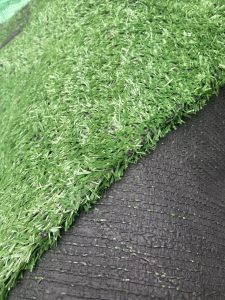 thảm cỏ cao 1.5cm đế mỏng