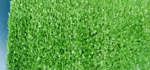 thảm cỏ cao 1cm
