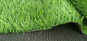 mẫu cỏ cao 3cm