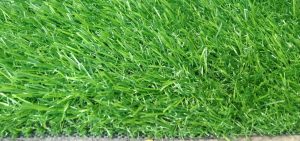 mẫu cỏ 2cm chất lượng