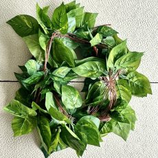 dây trầu bà giả sài gòn