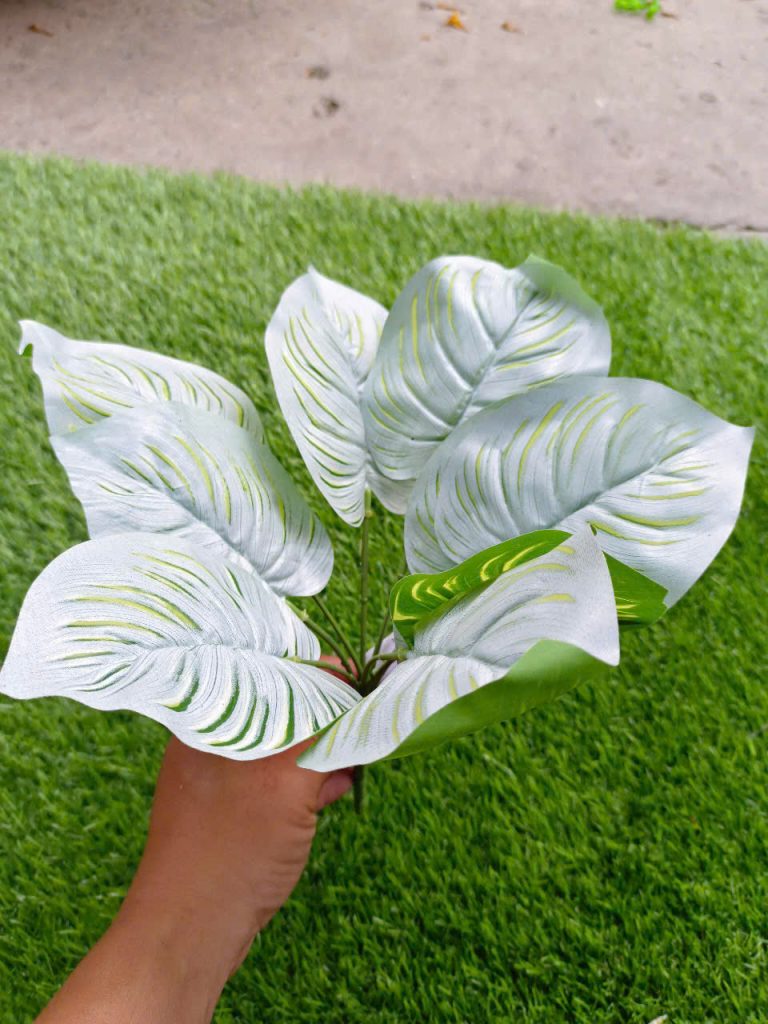 xã kho cây điểm