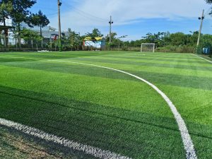thi công thay cỏ mới sân bóng đá