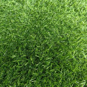 thảm cỏ nhân tạo 2cm