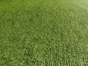 thảm cỏ sân vườn 2cm