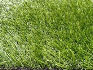 cỏ nhân tạo sân vườn 3cm