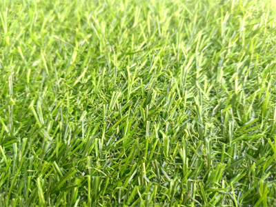 thảm cỏ 2cm