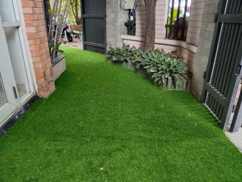 thảm cỏ gò vấp