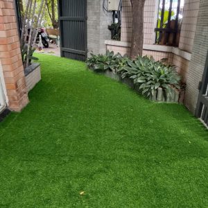 thảm cỏ gò vấp