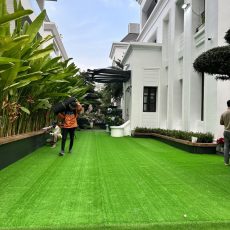 mua cỏ nhân tạo giá rẻ