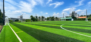 sân cỏ nhân tạo miền tây